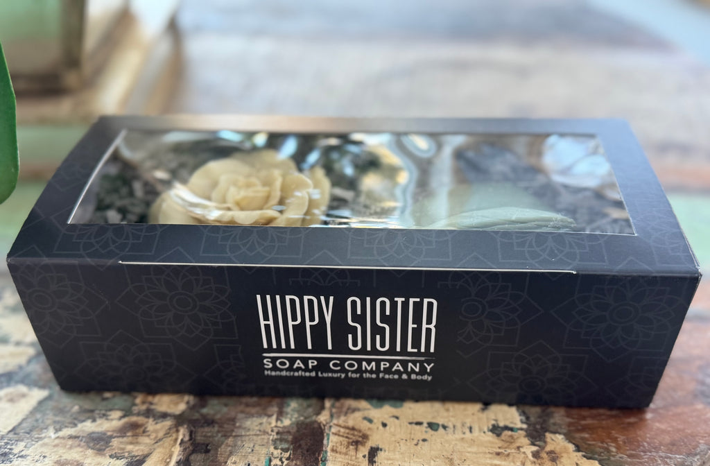 Begonia with Layered Leaf