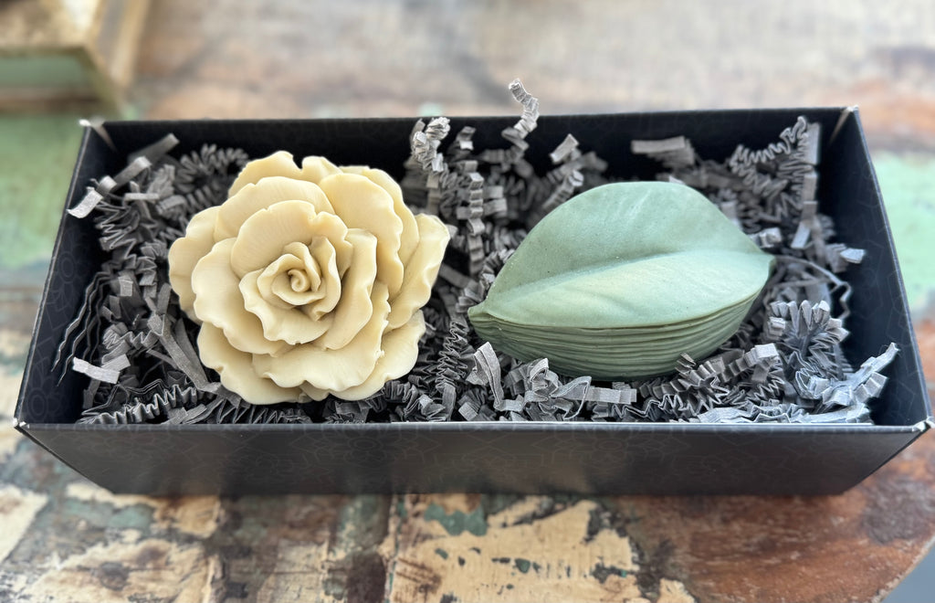 Begonia with Layered Leaf