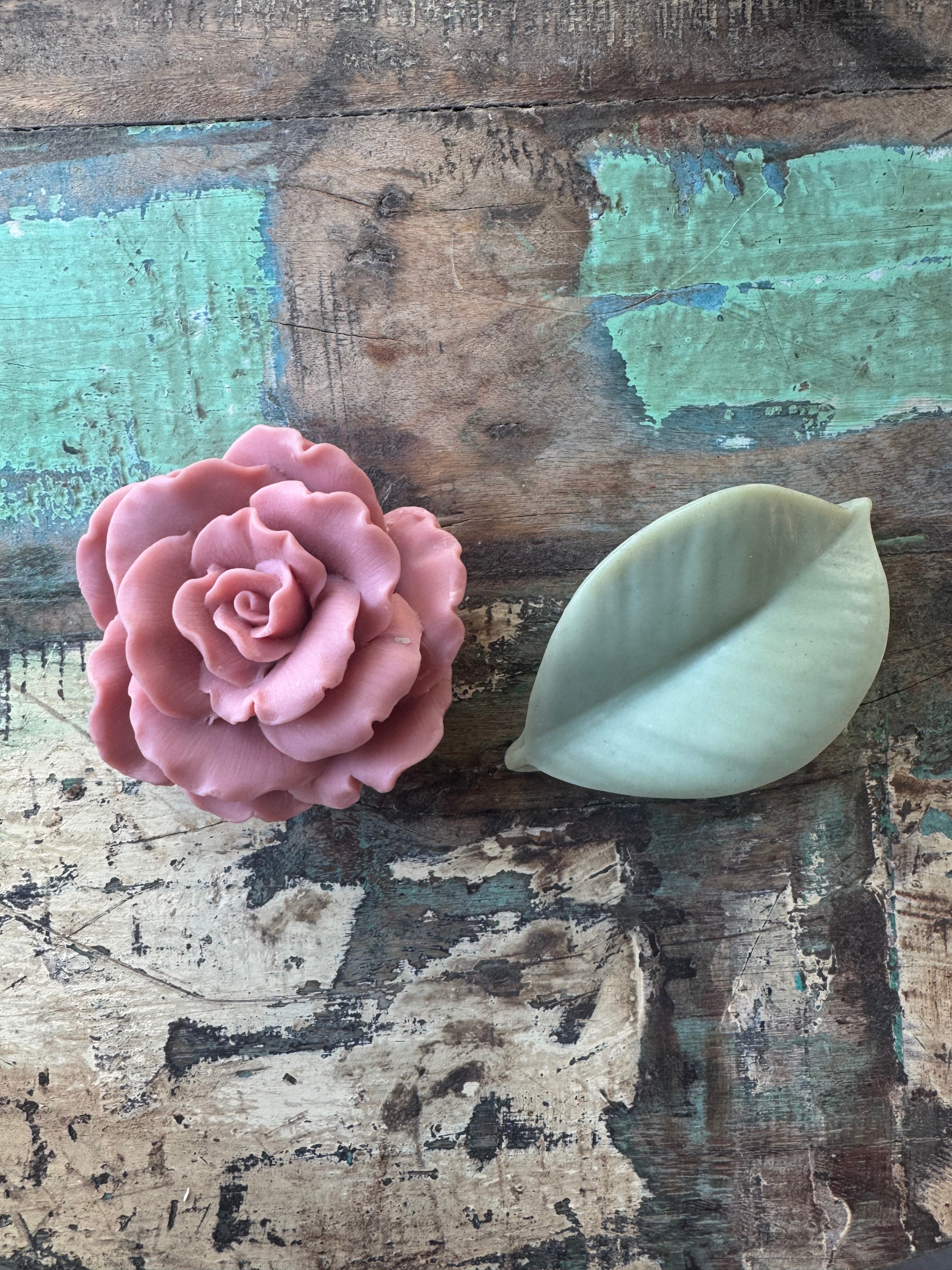 Begonia with Layered Leaf Dusty Rose