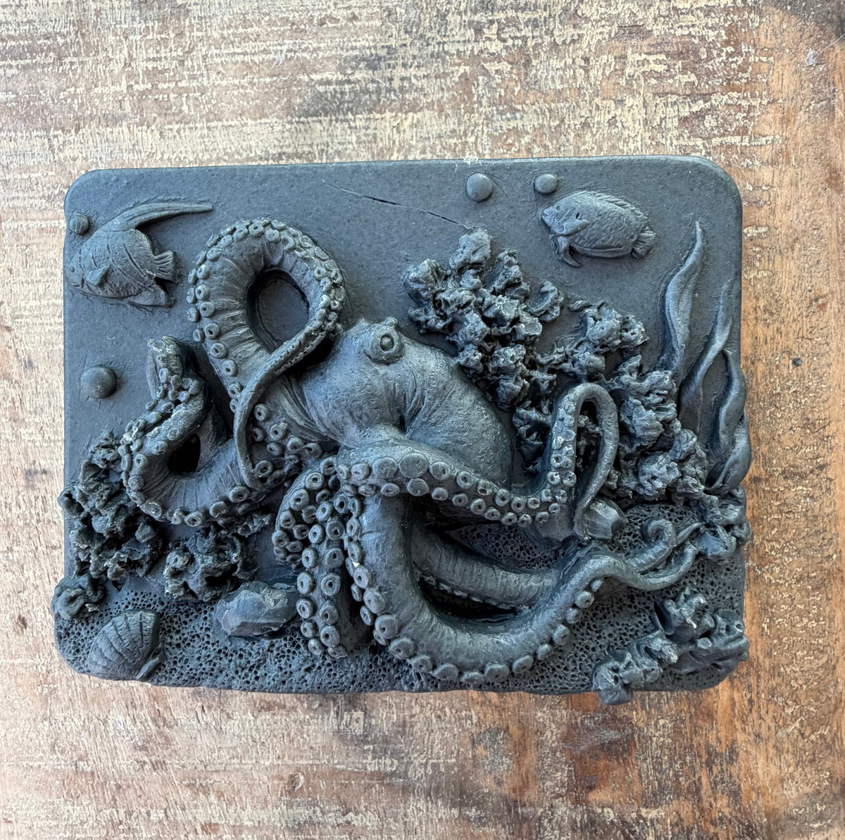 Octopus on Coral Reef