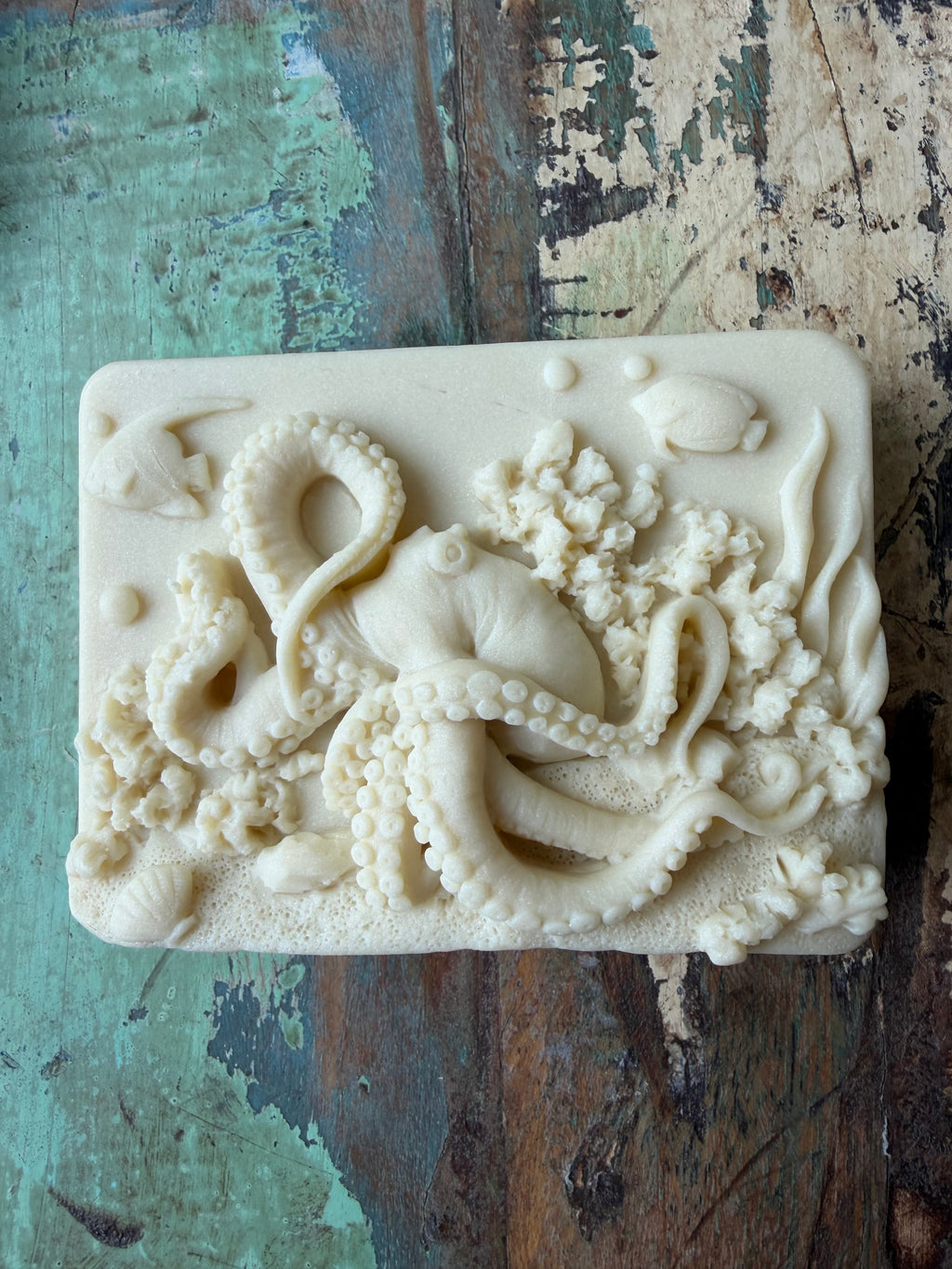 Octopus on Coral Reef