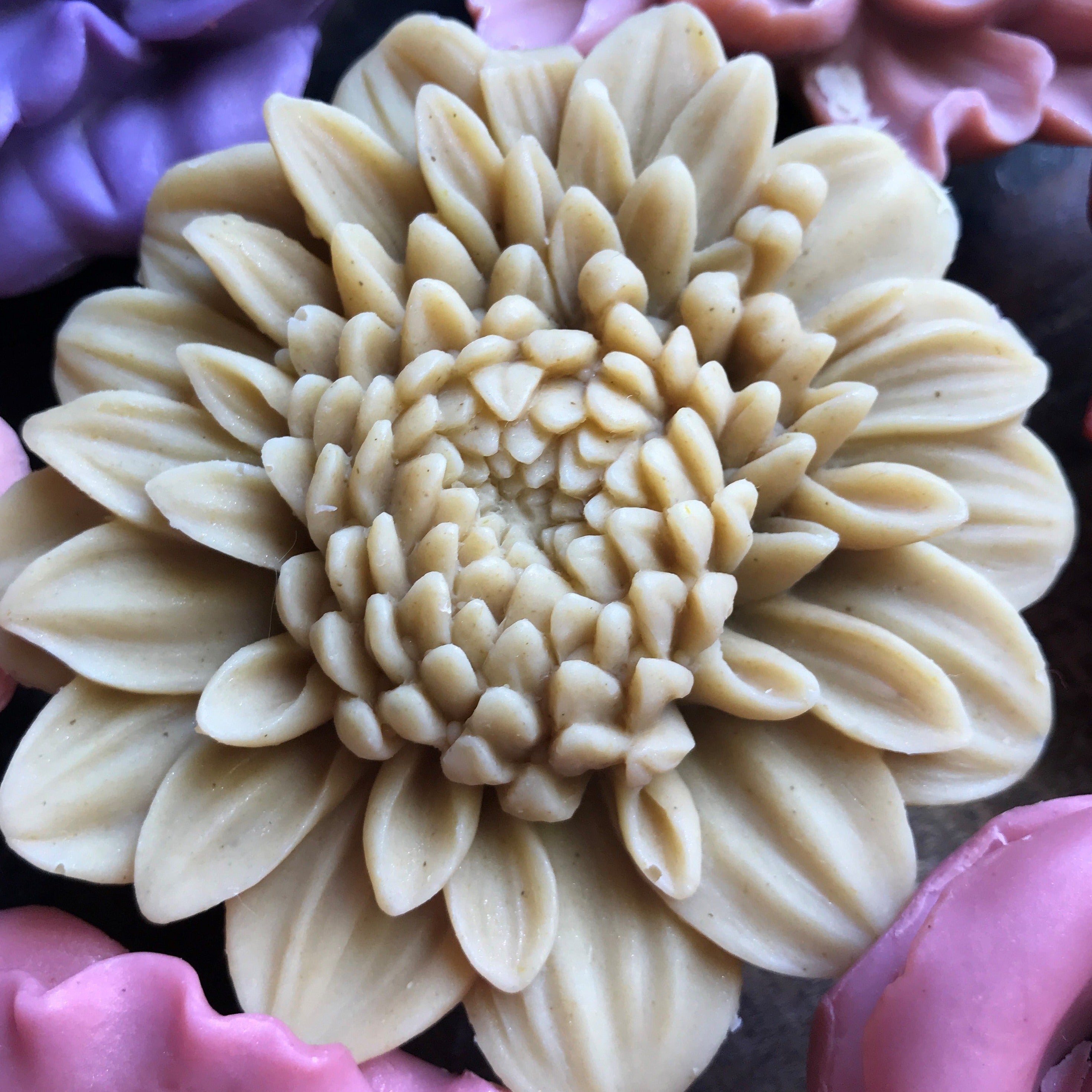 Chrysanthemum