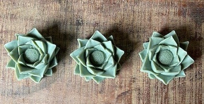 Lotus Succulents - Guest Soap Set