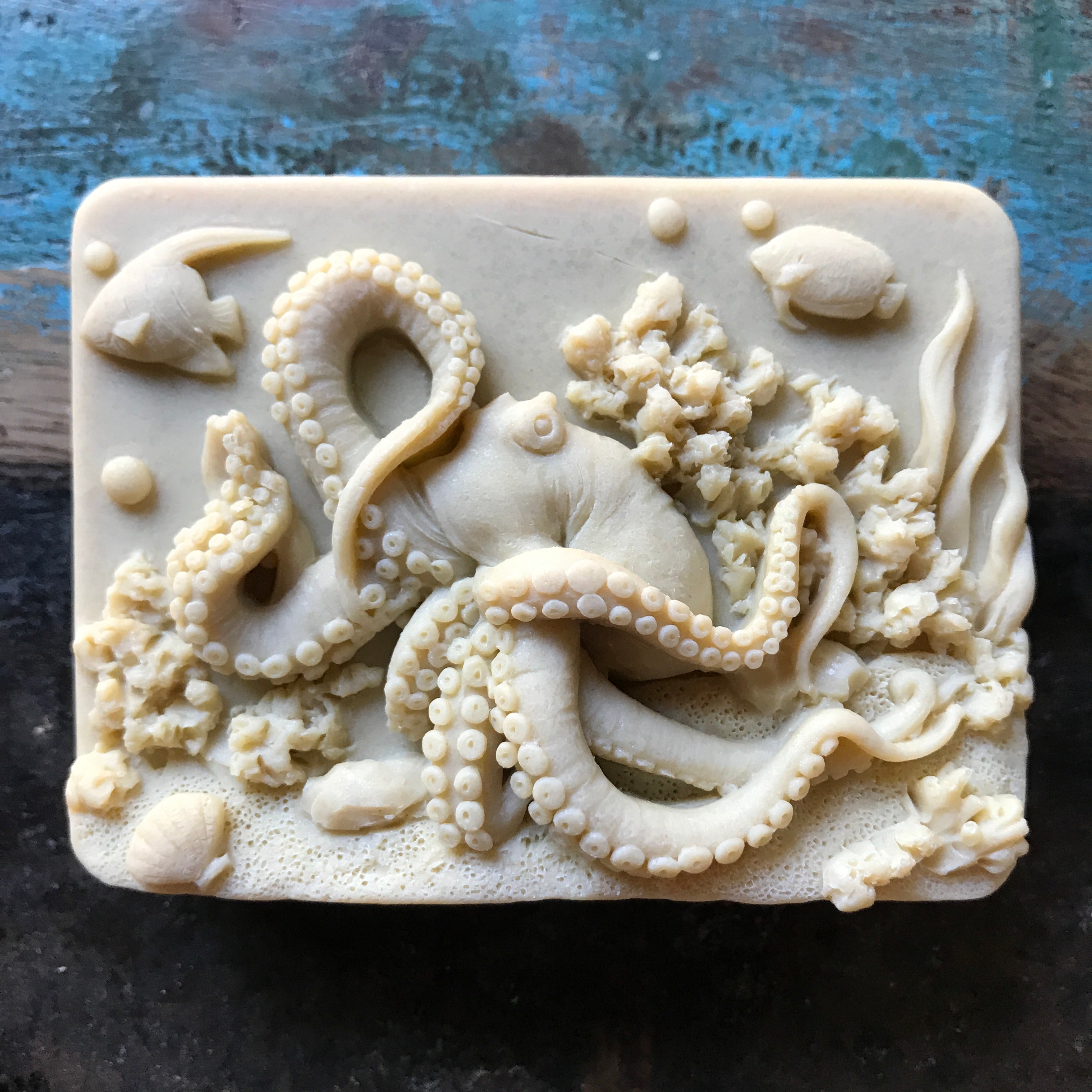 Octopus on Coral Reef