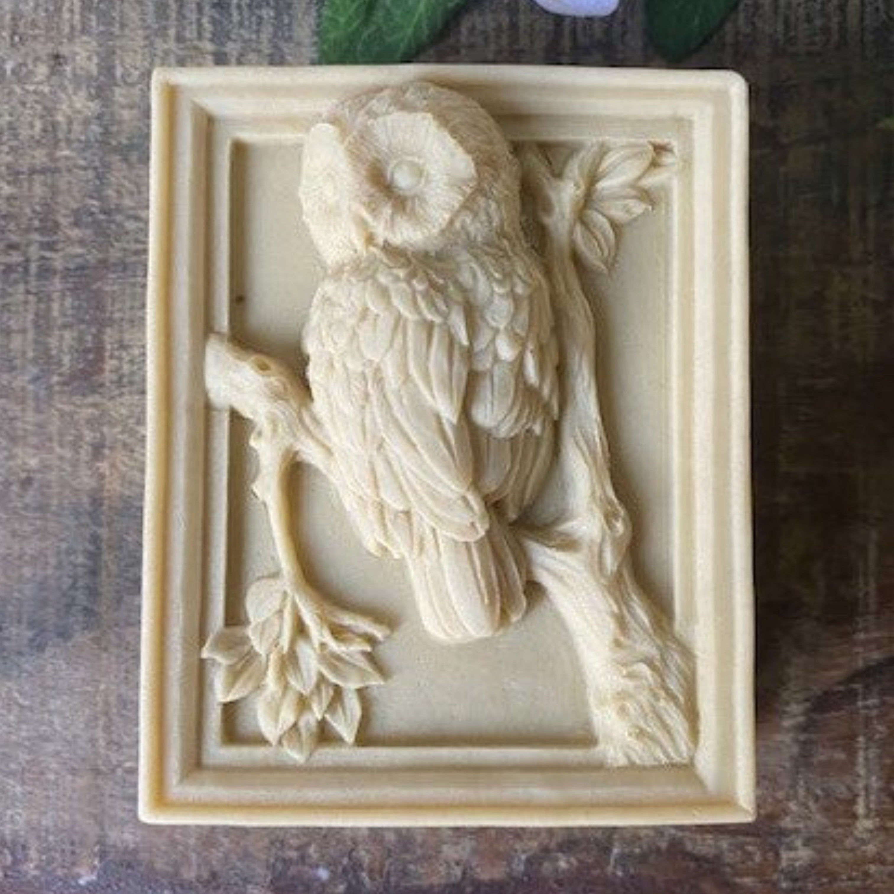 Distinguished Owl